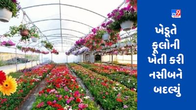 Farming: ફૂલની ખેતીથી મજૂરનું નસીબ બદલાયું, હવે એક મહિનામાં દોઢ લાખની આવક