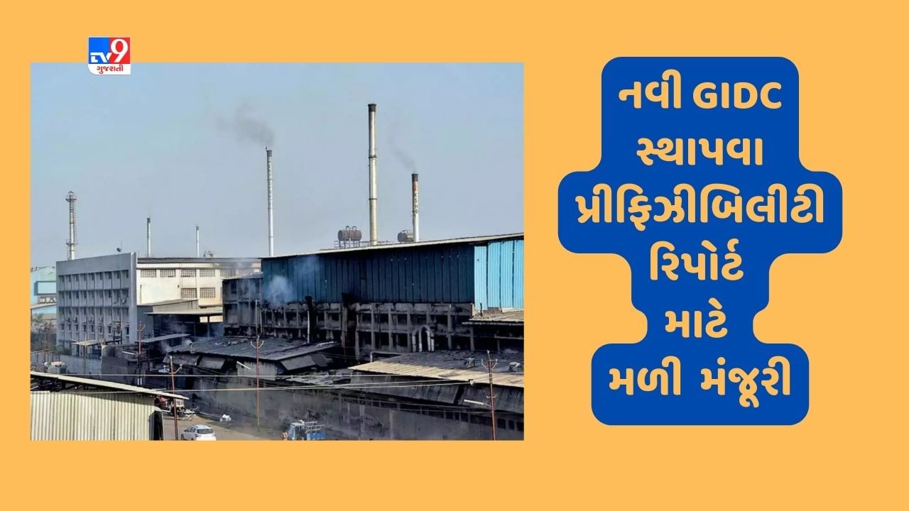 Ahmedabad રાજ્યમાં 13 જિલ્લામાં નવી GIDC સ્થાપવા પ્રી ફિઝિબિલિટી