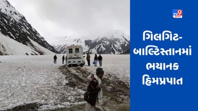Pakistan Avalanche: ગિલગિટ-બાલ્ટિસ્તાનમાં ભયાનક હિમપ્રપાત, 11ના દર્દનાક મોત