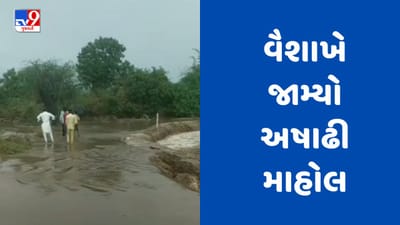 Gujarati video : ગીરના જંગલમાં વરસ્યો ભારે વરસાદ, નદી- નાળામાં વહેતા થયા નીર