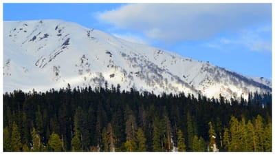 ઉનાળાની ઋતુમાં મોટાભાગની શાળાઓ અને યુનિવર્સિટીઓ બંધ રહે છે. આ રજાઓમાં, તમે બાળકો અને પરિવાર સાથે કેટલાક અદ્ભુત સ્થળોની મુલાકાત લેવા જઈ શકો છો. અહીં આવા જ કેટલાક શ્રેષ્ઠ પર્યટન સ્થળો વિશે જણાવવામાં આવ્યું છે. જૂન મહિનામાં ફરવા માટે આ સારી જગ્યાઓ છે. તમે અહીં યાદગાર પળો વિતાવી શકશો.