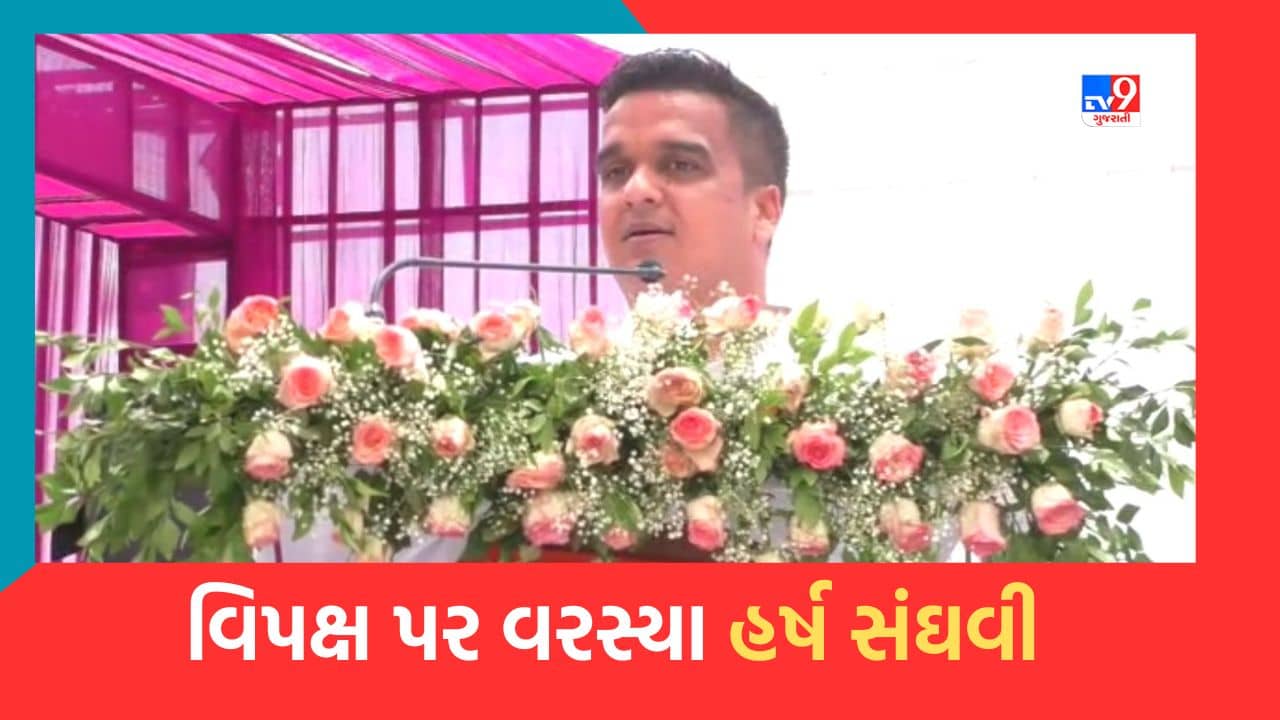 Gujarati Video : નવા સંસદ ભવનના ઉદ્દઘાટનને લઈને ચાલી રહેલા વિવાદ મુદ્દે વિપક્ષ પર વરસ્યા હર્ષ સંઘવી, કહ્યુ કોંગ્રેસે હંમેશા વિકાસના કામમાં રોડા નાખવાનુ કામ કર્યુ