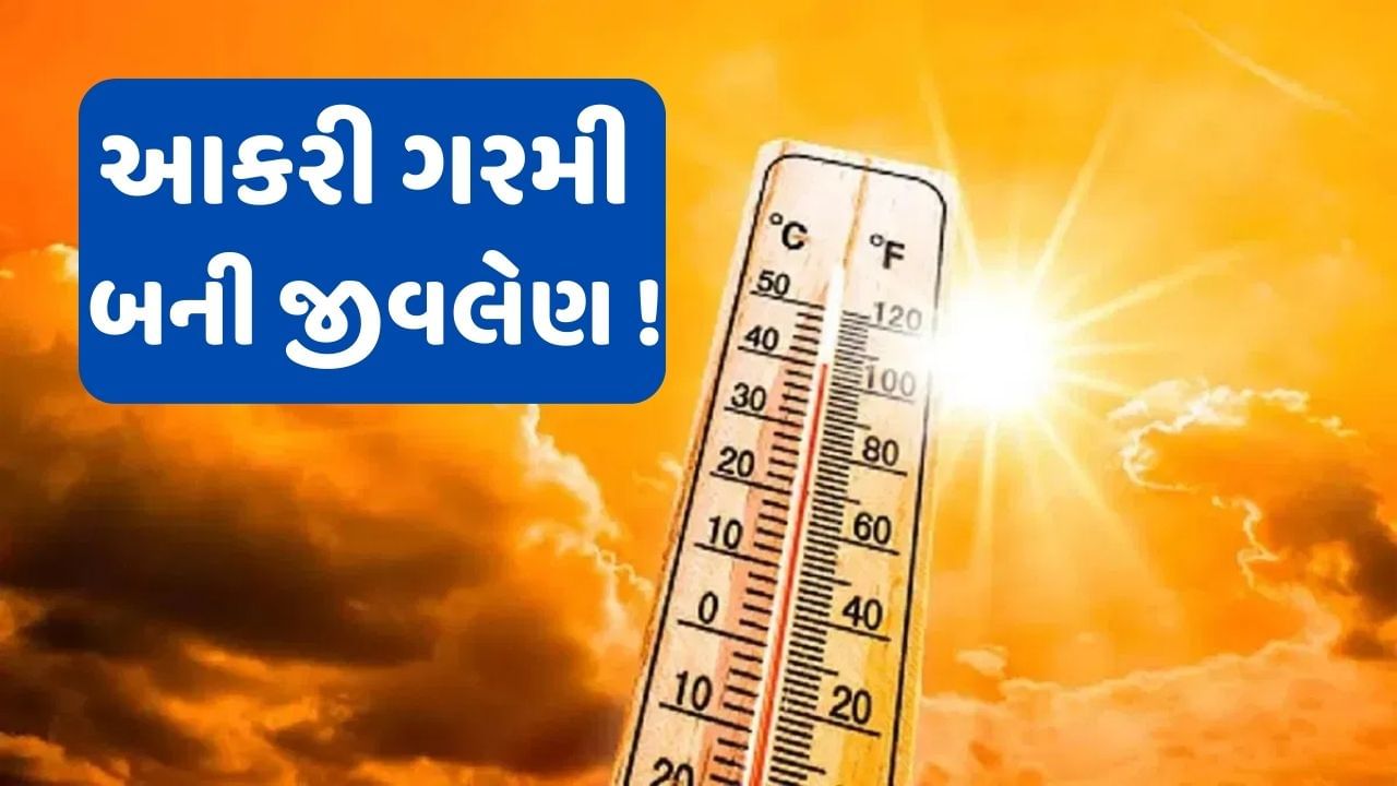 Heatwave In India: ભારતમાં હીટવેવે સર્જ્યો વિનાશ! કાળઝાળ ગરમી લઈ રહી છે લોકોના જીવ, રિપોર્ટમાં થયો ખુલાસો