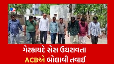 Gujarati Video: હળવદ માર્કેટિંગ યાર્ડમાં ગેરકાયદે સેસ ઉઘરાવતા ACBએ હોદ્દેદારો પર બોલાવી તવાઈ, સેક્રેટરી, વાઈસ સેક્રેટરી સહિત 7 લોકોની કરી ધરપકડ Gujarati Video: હળવદ માર્કેટિંગ યાર્ડમાં ગેરકાયદે સેસ ઉઘરાવતા ACBએ હોદ્દેદારો પર બોલાવી તવાઈ, સેક્રેટરી, વાઈસ સેક્રેટરી સહિત 7 લોકોની કરી ધરપકડ