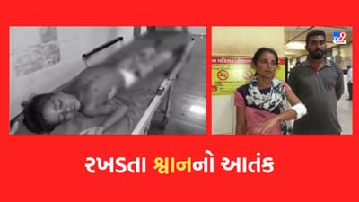 Gujarati Video: જુનાગઢમાં વધ્યો રખડતા શ્વાનનો આતંક, વડાલ નજીક વાડી વિસ્તારમાં રમતા બે બાળકો પર 4થી5 શ્વાને કર્યો જીવલેણ હુમલો