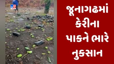 Gujarati video : જૂનાગઢમાં કરા સાથે કમોસમી વરસાદથી કેરીના પાકને ભારે નુકસાન, ખેડૂતોને ભારે નુકસાન
