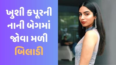 ખુશી કપૂરની નાની બેગમાં બિલાડી જોઈને ફેન્સ થઈ ગયા હેરાન, જુઓ Viral Video