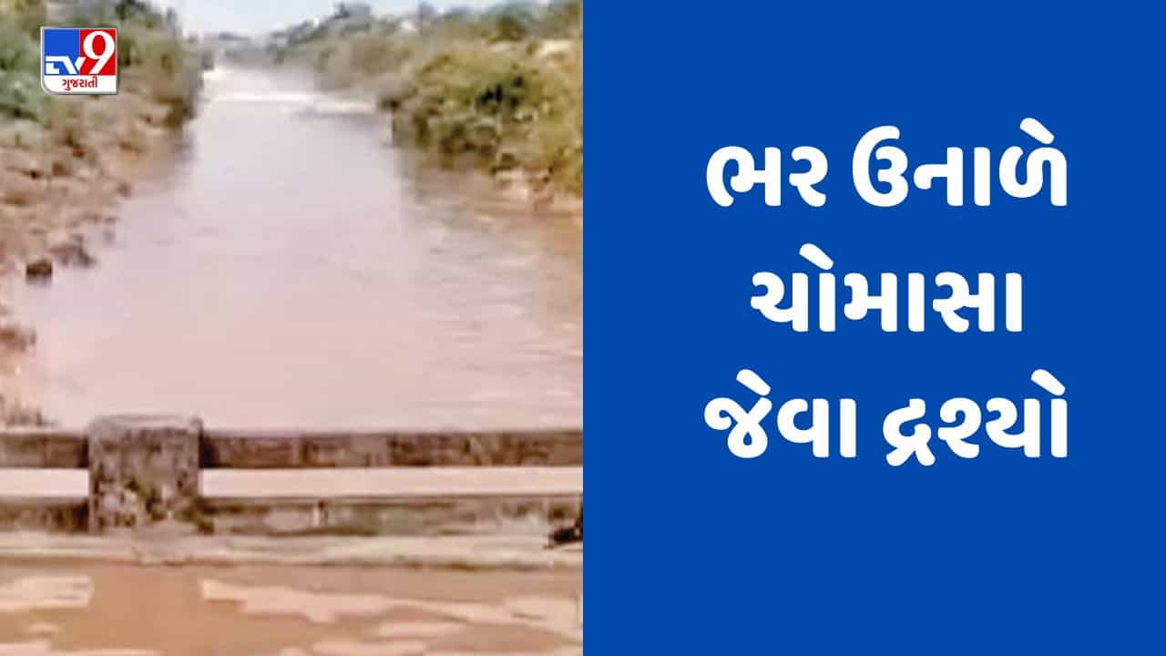 Rain Breaking : જામનગરના કાલાવડ અને જામજોધપુર પંથકમાં ભારે પવન સાથે કમોસમી વરસાદ, જુઓ Video