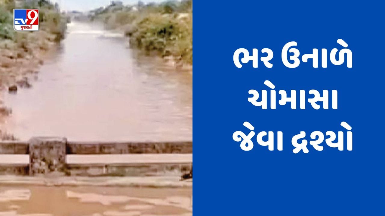 Rain Breaking : જામનગરના કાલાવડ અને જામજોધપુર પંથકમાં ભારે પવન સાથે કમોસમી વરસાદ, જુઓ Video Rain Breaking : જામનગરના કાલાવડ અને જામજોધપુર પંથકમાં ભારે પવન સાથે કમોસમી વરસાદ, જુઓ Video