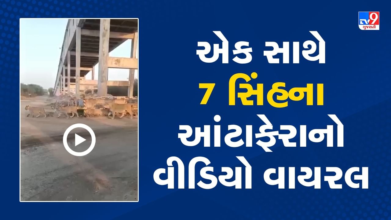 Viral Video: એકલી સિંહણ પર હાયનાના ટોળાએ હુમલો કર્યો, પછી કંઈક એવું