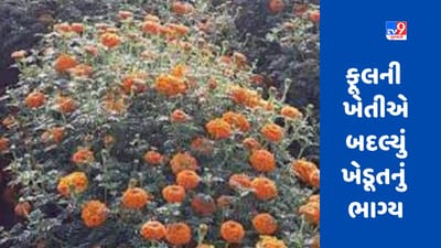 Success Story : આ ફૂલની ખેતીએ બદલ્યું ખેડૂતનું ભાગ્ય, લાખોમાં થઇ કમાણી