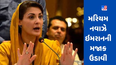 Imran Khan: ઈમરાન ખાનની 'ગેમ ઓવર', મરિયમે પાર્ટી છોડવા માટે પૂર્વ પીએમની મજાક ઉડાવી