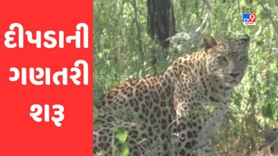Gujarati Video: રાજ્યમાં વનવિભાગ દ્વારા દીપડાની ગણતરી શરૂ, GPS લેઝર સહિતની આધુનિક ટેકનોલોજીની લેવાઈ મદદ