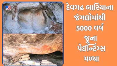 Gujarati Video: પંચમહાલ-દેવગઢ બારીયાના જંગલમાંથી 5 હજાર વર્ષ જૂની સંસ્કૃતિના મળ્યા અવશેષો