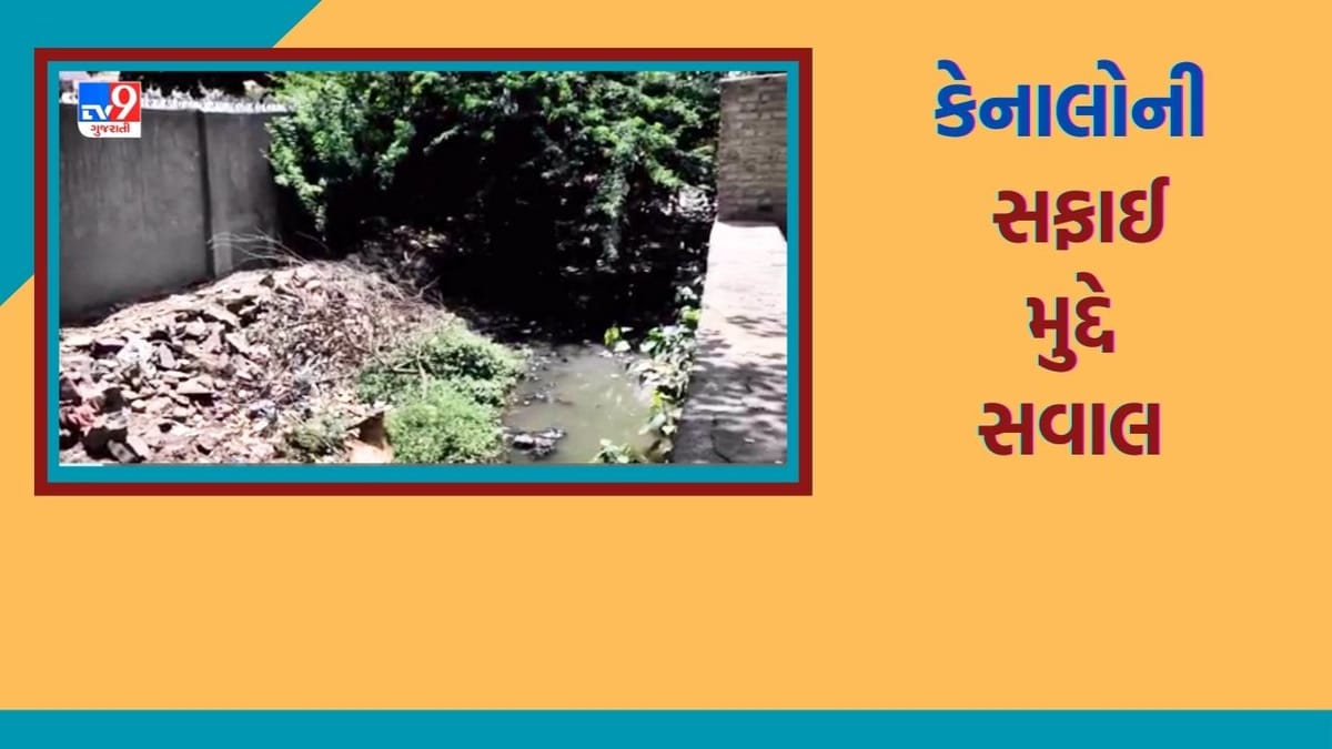 જામનગરમાં પ્રિમોન્સુન કામગીરીને લઈને વિપક્ષ દ્વારા આક્ષેપબાજી શરૂ, કેનાલોની સફાઈ મુદ્દે ઉઠાવ્યા સવાલ