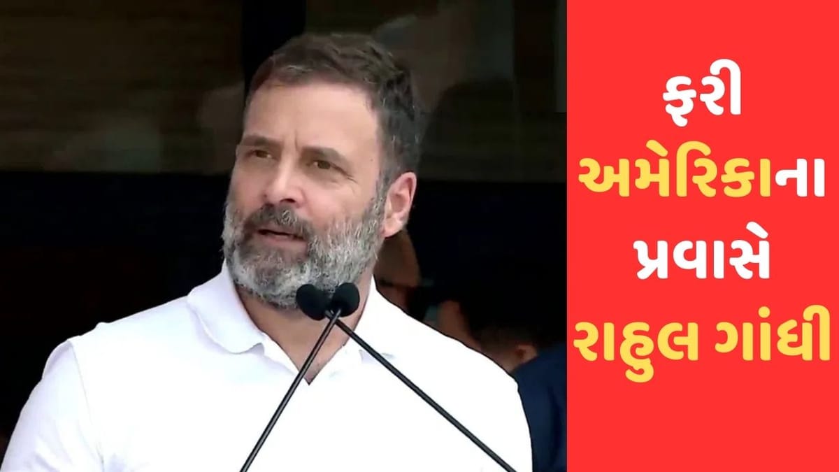 Breaking News: કેલિફોર્નિયા પહોચ્યાં કોંગ્રેસ નેતા રાહુલ ગાંધી, યુનિવર્સિટીના કાર્યકર્તાઓ અને શિક્ષણવિદો સાથે કરી વાતચીત Breaking News: કેલિફોર્નિયા પહોચ્યાં કોંગ્રેસ નેતા રાહુલ ગાંધી, યુનિવર્સિટીના કાર્યકર્તાઓ અને શિક્ષણવિદો સાથે કરી વાતચીત