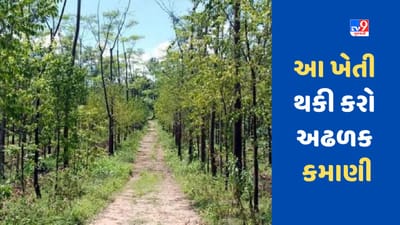 Agriculture: જલ્દી અમીર બનવા માગતા હોવ તો કરો આ પાકની ખેતી, 1 હેક્ટરમાંથી કમાશો કરોડો રૂપિયા