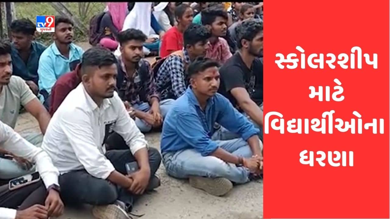 Gujarat Video: Valsad: ધરમપુરની વનરાજ કોલેજના વિદ્યાર્થીઓને સ્કોલરશીપ ન મળતા મામલતદાર કચેરી બહાર કર્યા ધરણા