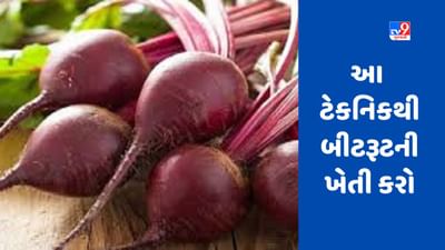 Beetroot: આ ટેકનિકથી બીટરૂટની ખેતી કરો, 3 મહિના પછી તમે લાખોની કમાણી કરશો