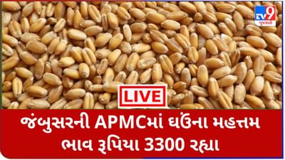 Mandi : જંબુસરની APMCમાં ઘઉંના મહત્તમ ભાવ 3300 રૂપિયા રહ્યા, જાણો જુદા-જુદા પાકના ભાવ Mandi : જંબુસરની APMCમાં ઘઉંના મહત્તમ ભાવ 3300 રૂપિયા રહ્યા, જાણો જુદા-જુદા પાકના ભાવ