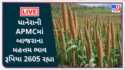 Mandi : ધાનેરાની APMCમાં બાજરાના મહત્તમ ભાવ રૂપિયા 2605 રહ્યા, જાણો જુદા-જુદા પાકના ભાવ