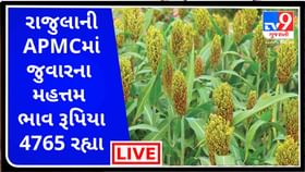 Mandi : રાજુલાની APMCમાં જુવારના મહત્તમ ભાવ રૂપિયા 4765 રહ્યા, જાણો જુદા-જુદા પાકના ભાવ Mandi : રાજુલાની APMCમાં જુવારના મહત્તમ ભાવ રૂપિયા 4765 રહ્યા, જાણો જુદા-જુદા પાકના ભાવ