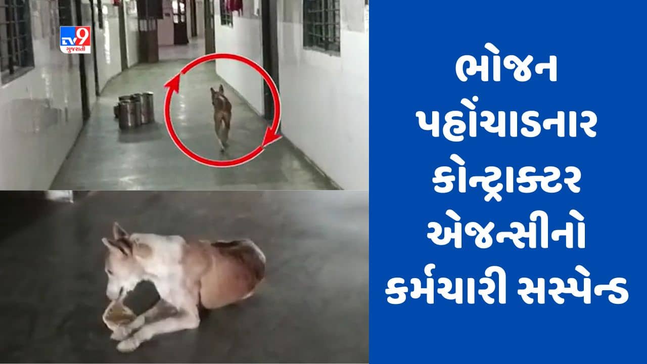 Gujarati Video : દર્દીઓના ભોજનમાં શ્વાન દ્વારા મોઢું મારવાના કેસમાં કાર્યવાહી, ભોજન પહોંચાડનાર કોન્ટ્રાક્ટર એજન્સીનો કર્મચારી સસ્પેન્ડ