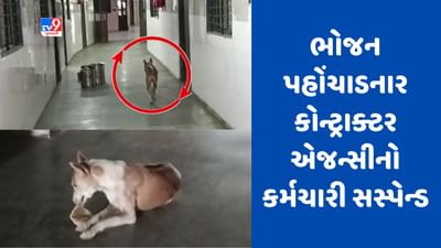 Gujarati Video : દર્દીઓના ભોજનમાં શ્વાન દ્વારા મોઢું મારવાના કેસમાં કાર્યવાહી, ભોજન પહોંચાડનાર કોન્ટ્રાક્ટર એજન્સીનો કર્મચારી સસ્પેન્ડ