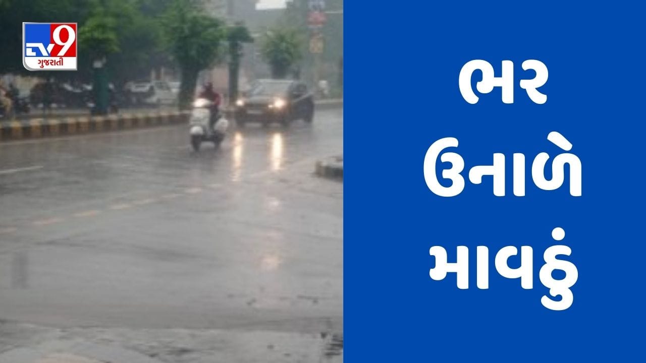 Gujarati Video : ભર ઉનાળે વલસાડના ઉમરગામમાં વરસાદ વરસ્યો, કેરીના પાકને નુકસાનની ભીતિ Gujarati Video : ભર ઉનાળે વલસાડના ઉમરગામમાં વરસાદ વરસ્યો, કેરીના પાકને નુકસાનની ભીતિ