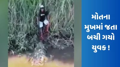 Video જોઈ ધબકારા ચૂકી જશો ! યુવક પર હુમલો કરવા જ જઈ રહ્યો હતો મગર, છેલ્લી ઘડીએ આવી રીતે બચ્યો જીવ, જુઓ Viral video