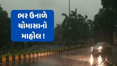 Rain Breaking : અરવલ્લી જિલ્લામાં વહેલી સવારથી વરસાદી માહોલ, જુઓ Video