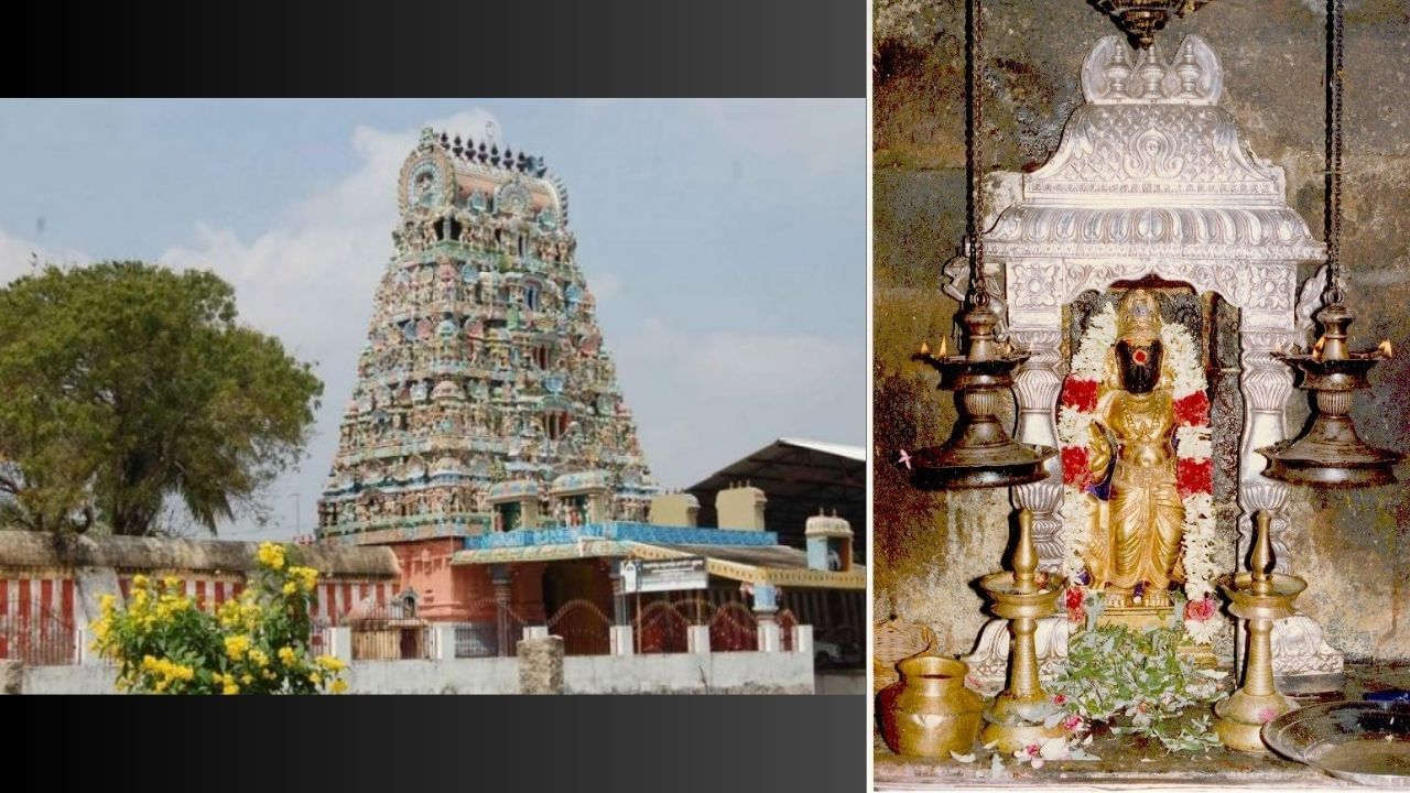 થિરુનાલ્લારુ મંદિર (તામિલનાડુ)-શનિદેવનું આ મંદિર તમિલનાડુના તંજાવુર જિલ્લામાં છે. માન્યતા અનુસાર બે નદીઓની વચ્ચે આવેલા આ મંદિરમાં શનિદેવની સાથે ભગવાન શિવની પૂજા કરવામાં આવે તો શનિ દોષથી મુક્તિ મળે છે. જ્યારે શનિ બદલાય છે ત્યારે આ મંદિરમાં વિશેષ પૂજાનું આયોજન કરવામાં આવે છે.