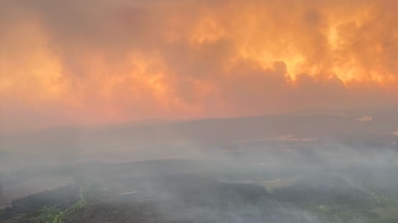 કેનેડાના જંગલોમાં ભીષણ આગ લાગી છે. જેના કારણે હજારો કેનેડિયનોને તેમના ઘર છોડવા પડ્યા છે. અત્યાર સુધીમાં 20 હજાર લોકો પોતાના ઘર છોડી ચુક્યા છે. 38 લાખ હેક્ટર જમીન પણ બળીને રાખ થઈ ગઈ છે. (AFP)