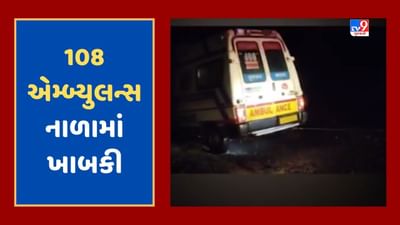 Jamnagar: ગર્ભવતી મહિલાને લઇને જતી 108 નાળામાં ખાબકી, ફાયર વિભાગે કર્યુ રેસ્ક્યૂ, જૂઓ Video