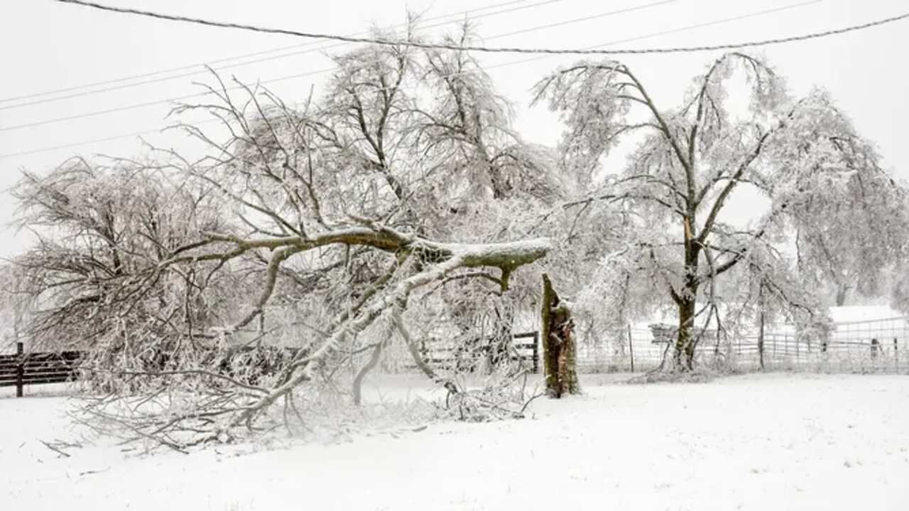 Ice Storm: વરસાદનું તોફાન જે થીજી ગયેલા બરફનું આવરણ છોડે તેને કહે છે