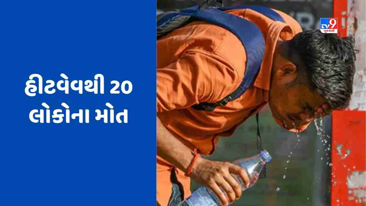 Heat Wave: UP-બિહાર બાદ ઓડિશામાં પણ હાહાકાર, લૂ લાગવાથી 20 લોકોના મોત