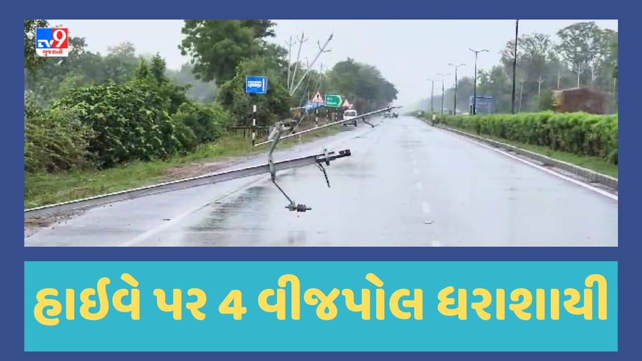 Gujarati Video : ભારે પવન અને વરસાદથી હાલોલ-શામળાજી હાઇવે પર 4 વીજપોલ ધરાશાયી, ટ્રાફિકને ડાયવર્ટ કરવાની ફરજ પડી