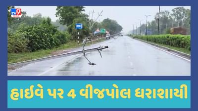 Gujarati Video : ભારે પવન અને વરસાદથી હાલોલ-શામળાજી હાઇવે પર 4 વીજપોલ ધરાશાયી, ટ્રાફિકને ડાયવર્ટ કરવાની ફરજ પડી
