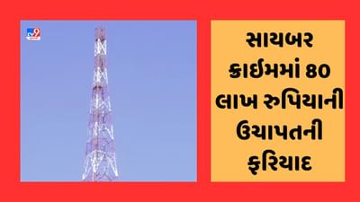 Ahmedabad : ઠગાઇનો નવો કિમીયો, નવા સિમકાર્ડમાં જુના ગ્રાહકના બેંક અકાઉન્ટની ડિટેઇલ મેળવી 80 લાખ પડાવ્યા, જૂઓ Video