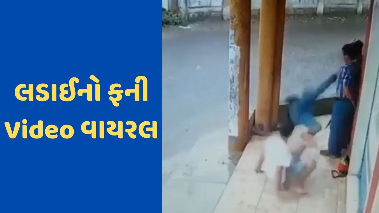 Viral Video: આવી મારામારી ભાગ્યે જ જોઈ હશે !, લાત મારવામાં બંને નિષ્ફળ, તો આખરે થયુ શું ? જુઓ VIDEO