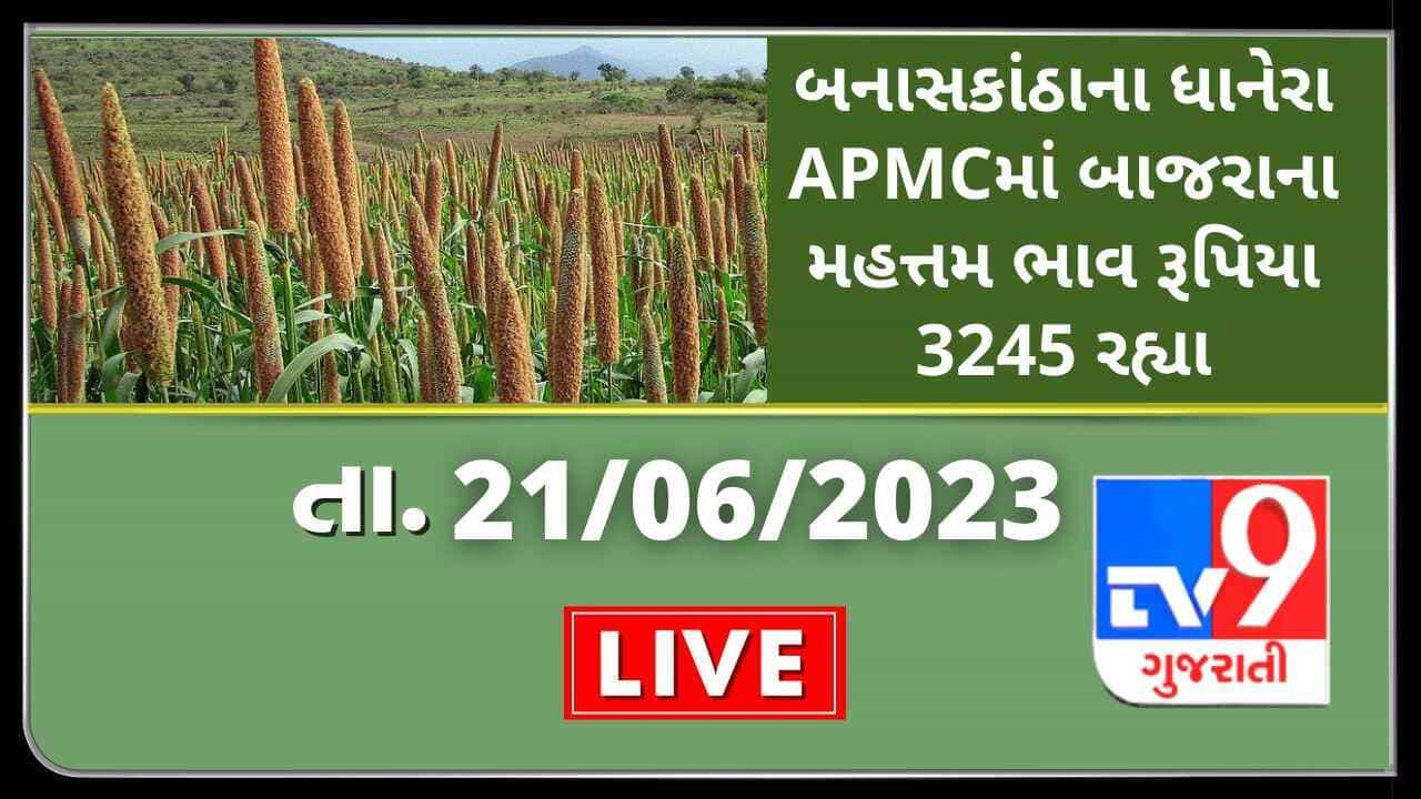 Mandi : બનાસકાંઠાના ધાનેરા APMCમાં બાજરાના મહત્તમ ભાવ રૂપિયા 3245 રહ્યા, જાણો જુદા-જુદા પાકના ભાવ