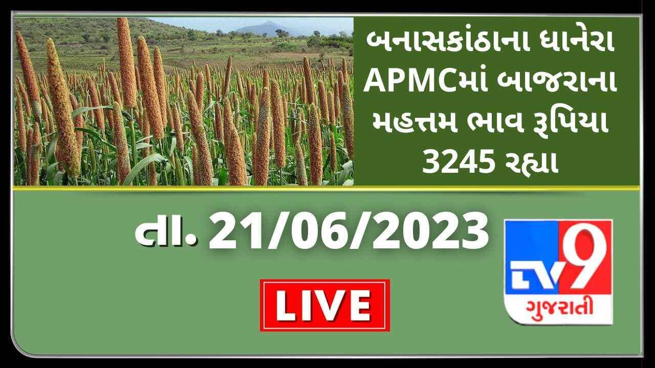 Mandi : બનાસકાંઠાના ધાનેરા APMCમાં બાજરાના મહત્તમ ભાવ રૂપિયા 3245 રહ્યા, જાણો જુદા-જુદા પાકના ભાવ