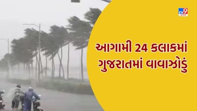 હવામાન વિભાગની આગાહી મુજબ આગામી 24 કલાકમાં ગુજરાતમાં વાવાઝોડું આવી શકે, જુઓ Video