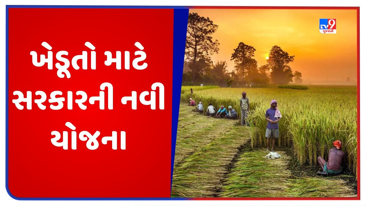 ખેડૂતોના હિતમાં મોટો નિર્ણય, હવે દેશમાં અનાજનો બગાડ નહીં થાય, સરકારે અન્ન સંગ્રહ યોજનાને આપી મંજૂરી