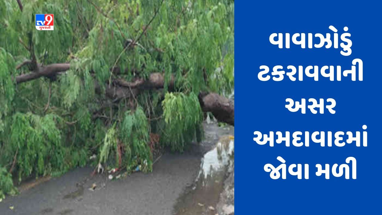 Breaking News Cyclone Biporjoy : દરિયાકાંઠે વાવાઝોડું ટકરાવવાની અસર અમદાવાદમાં જોવા મળી, ઝાડ પડવાની 5 ઘટના સહિત અનેક બનાવ બન્યા