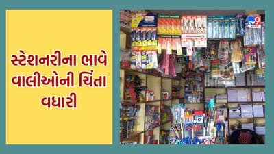 વાલીઓની વધી ચિંતા, સ્ટેશનરીમાં 10થી 15 ટકાનો વધારો, ભાવ ઘટે તેવી વાલીઓની માગ, જુઓ Video