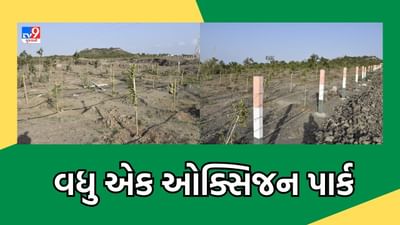 Ahmedabad: વિશ્વ પર્યાવરણ દિને અમદાવાદ શહેરને મળશે વધુ એક ઓક્સિજન પાર્કની ભેટ