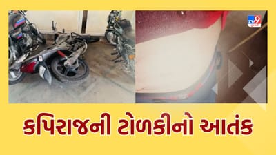 Ahmedabad : પાલડી વિસ્તારમાં કપિરાજની ટોળકીએ મચાવ્યો આતંક, કેટલાય લોકો ઇજાગ્રસ્ત, જુઓ Video