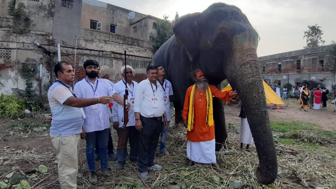 અમદાવાદમાં રથયાત્રાની તૈયારીઓ પૂરજોશમાં છે. રથયાત્રા પૂર્વે ગજરાજનું મેડિકલ ચેકઅપ થઈ રહ્યું છે. ચાર ટીમ દ્વારા ગજરાજનું મેડિકલ ચેકઅપ કરવામાં આવ્યું હતું. કુલ 14 ગજરાજનું મેડિકલ ચેકઅપ કરવામાં આવ્યું છે.