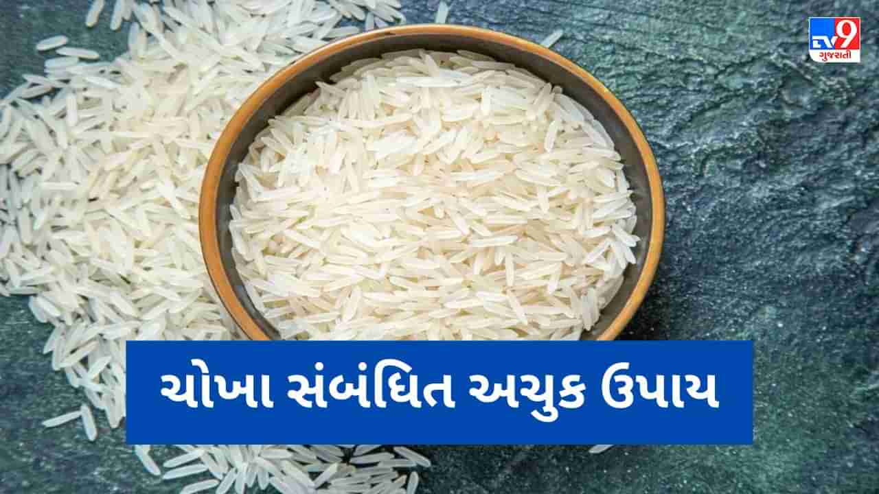 Rice Astro Remedies: અજમાવો ચોખાના આ અચુક ઉપાય, નોકરી-વ્યવસાયમાં રહેશે ફાયદો